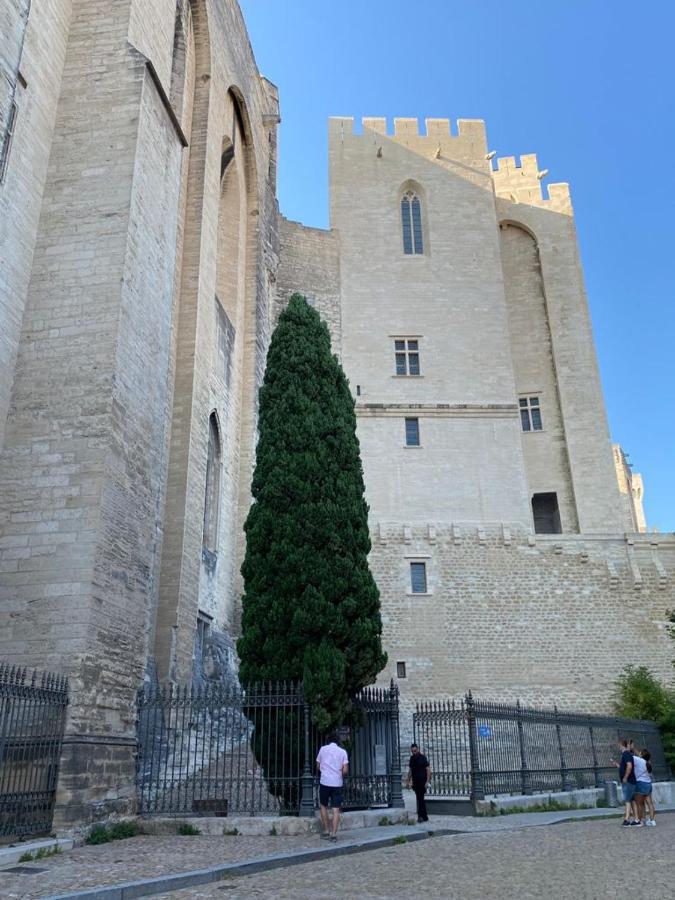 Le Patio Du Murier فير بونت دي غارد المظهر الخارجي الصورة