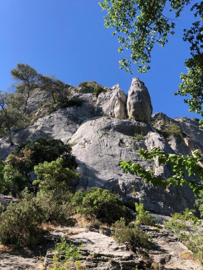 Le Patio Du Murier فير بونت دي غارد المظهر الخارجي الصورة